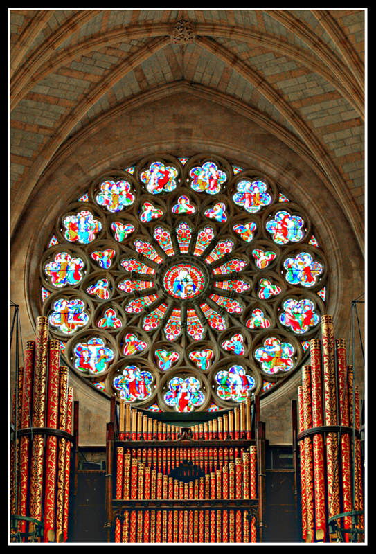 Organ Window
Organ and Stained Glass window at Arundel Cathedral
Keywords: Organ Stained Glass window Arundel Cathedral