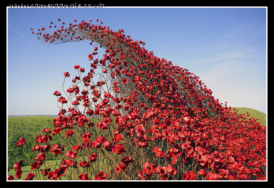 Poppies
Poppies at Fort Nelson for a large wave
Keywords: Poppies at Fort Nelson