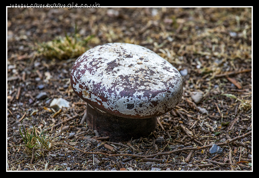 Mushroom
Okay, it's a narrow boat mooring point, but it looks like a mushroom
Keywords: Mushroom Narrow Boat Mooring Point Oxford