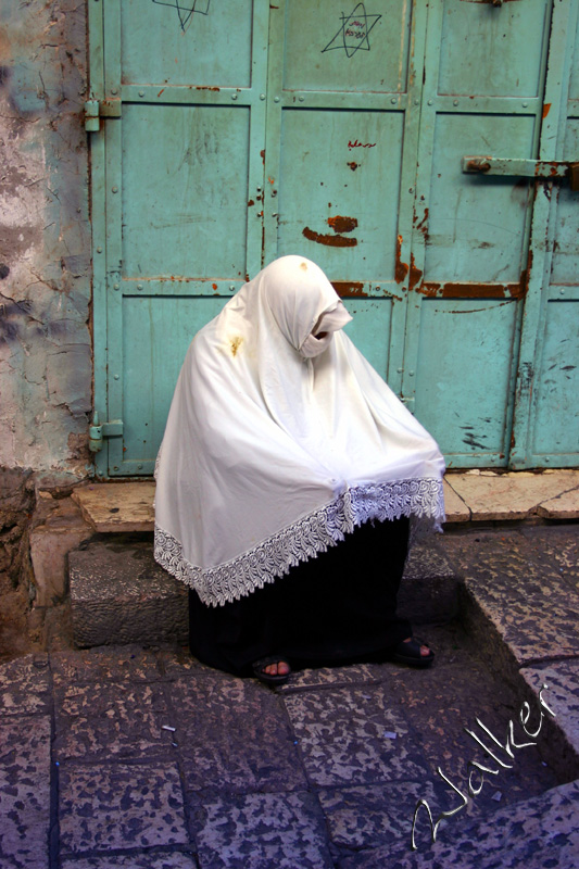 Beggar
A woman begs on the streets of Jerusalem, Israel.
Keywords: Beggar Woman Jerusalem Israel