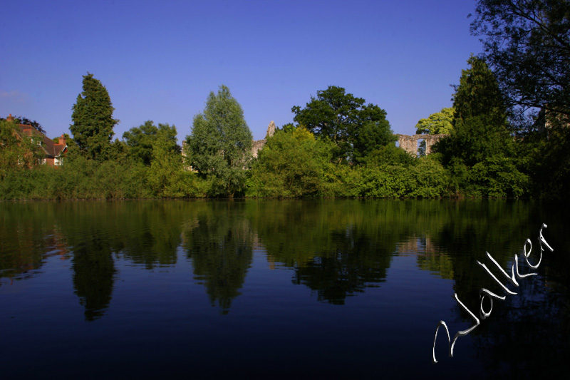 Bishops Waltham Pond
A view of Bishops Waltham Pond with the old Palace ruins in the background.
Keywords: bishops waltham pond