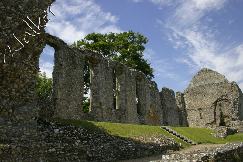 Bishops Waltham Palace
Bishops Waltham Palace
Keywords: Bishops Waltham Palace