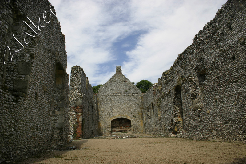 Bishops Waltham Palace
Bishops Waltham Palace
Keywords: Bishops Waltham Palace