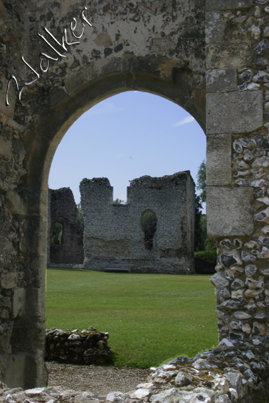 Bishops Waltham Palace
Bishops Waltham Palace
Keywords: Bishops Waltham Palace