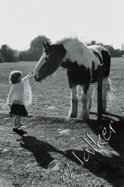 Britney and the Horse
Its that horse again, Britney would have taken it home if it fitted in the car.
Keywords: Britney Horse 35mm