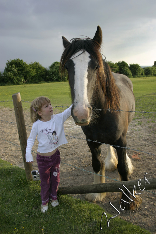 Britney and a Horse
Britney and a Horse on top of Portsdown Hill
Keywords: Britney Horse