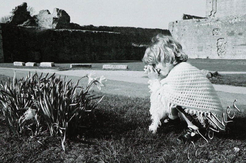 Britney photgraphing some flowers
Here is Britney taking some photos of some of the flowers in Portchester Castle
Keywords: Portchester Casle flower Britney 35mm