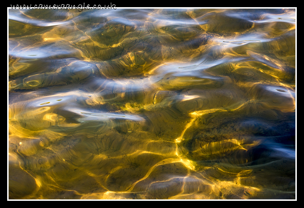 Golden
Sunlight reflects of the bottom of a river Cuckmere Haven
