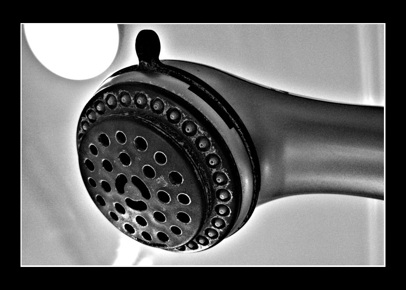 The shower
shower head
Keywords: shower head