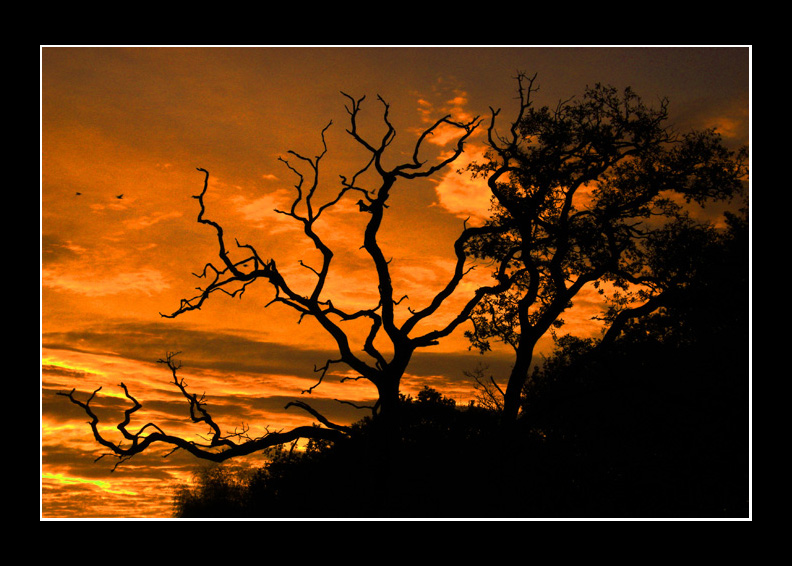 Sunrise over Hedge End
Sunrise over Hedge End                           
Keywords: Sunrise Hedge End