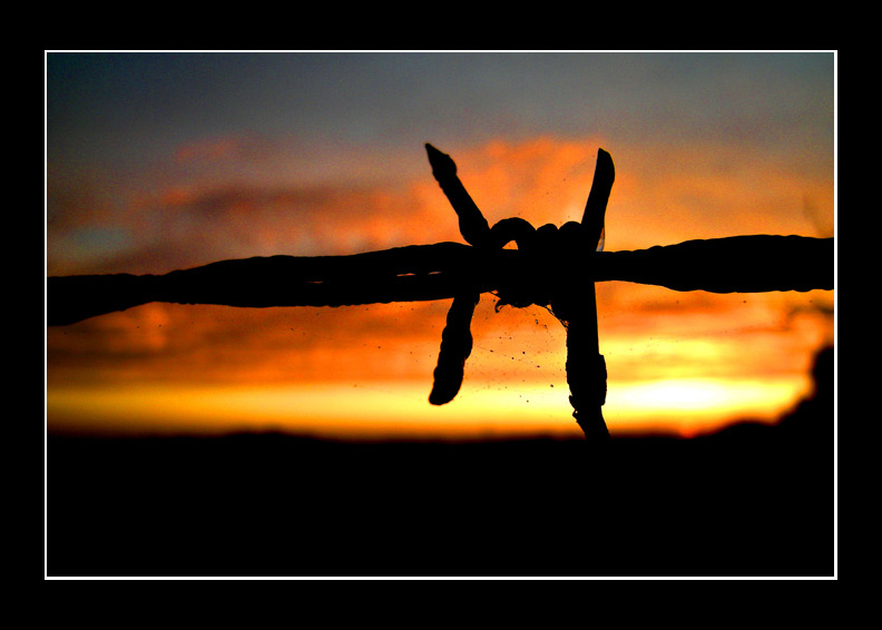 Barb wire sunrise
Barb wire sunrise
Keywords: barb wire sunrise