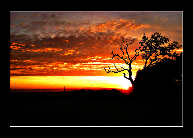 Sunrise over Hedge End
Sunrise over Hedge End                    
Keywords: Sunrise Hedge End