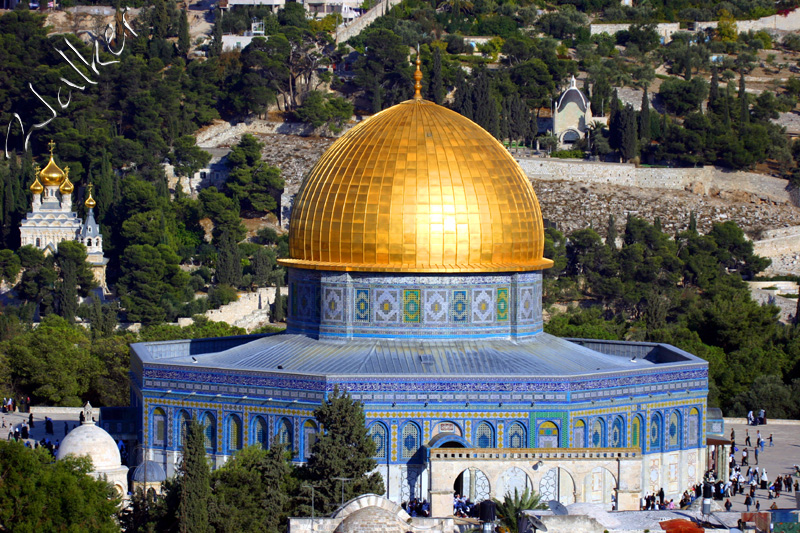 Dome of the Rock
This is the Dome of the rock, taken from the Tower of the Church of the Redeemer in Jerusalem, Israel. The dome is in the Muslim quarter.
Keywords: Dome Rock Israel Jerusalem
