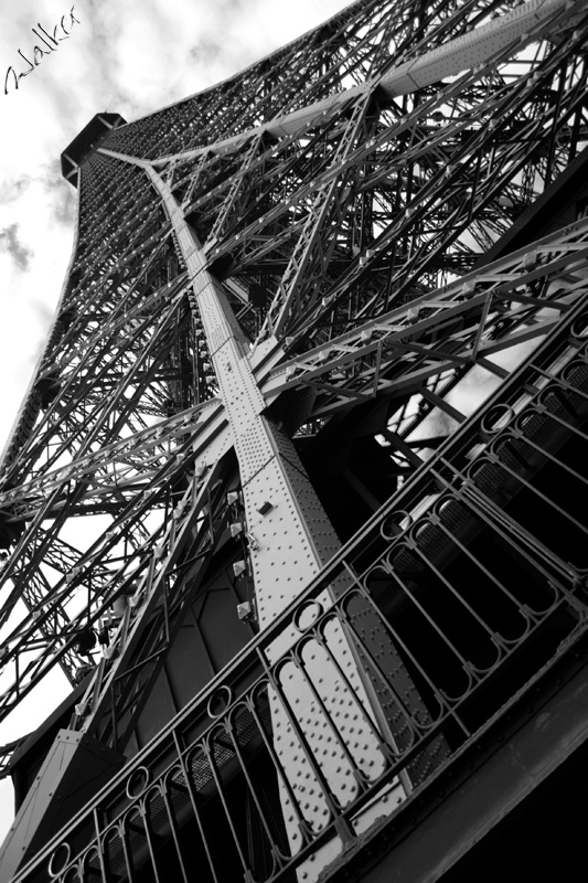 The Eiffel Tower Paris
The Eiffel Tower Paris
Keywords: Eiffel Tower Paris