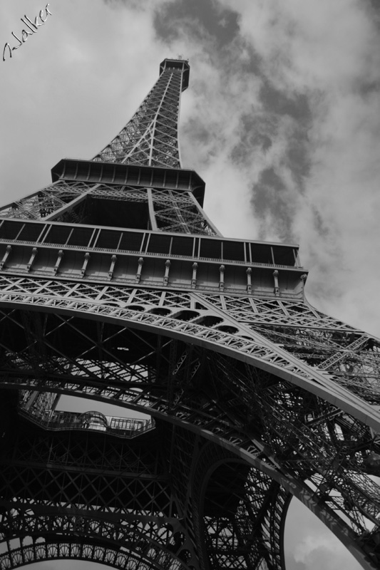 The Eiffel Tower Paris
The Eiffel Tower Paris
Keywords: Eiffel Tower Paris