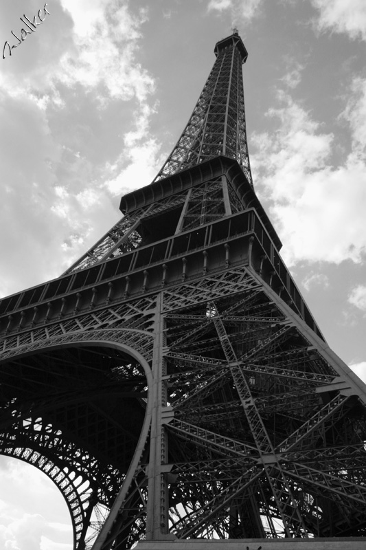 The Eiffel Tower Paris
The Eiffel Tower Paris
Keywords: Eiffel Tower Paris