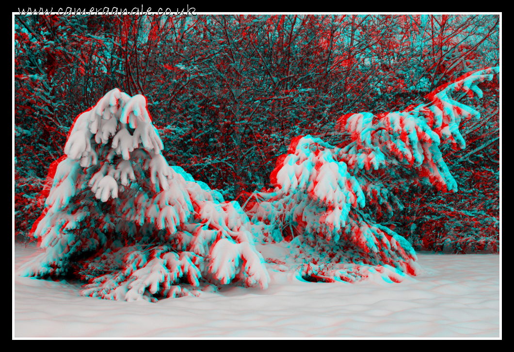 3D Fallen Tree
Keywords: 3D Fallen Tree