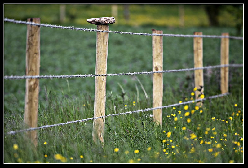 Fence
Fencposts, not sure where the rock came from!
Keywords: Fence Posts