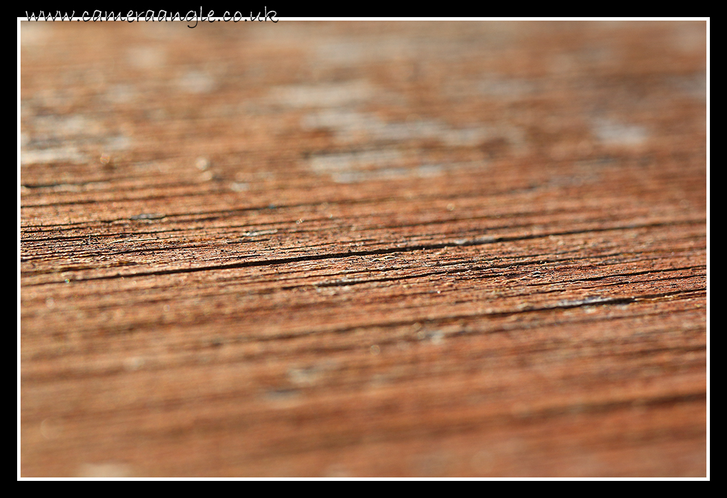 Wood Grain
