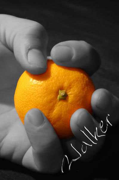 Orange
Man holding an orange
