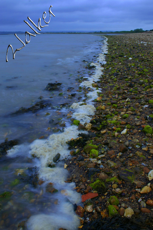 Hayling Island Shoreline
Hayling Island Shorelin just before sunset
Keywords: Hayling Island Shoreline sunset