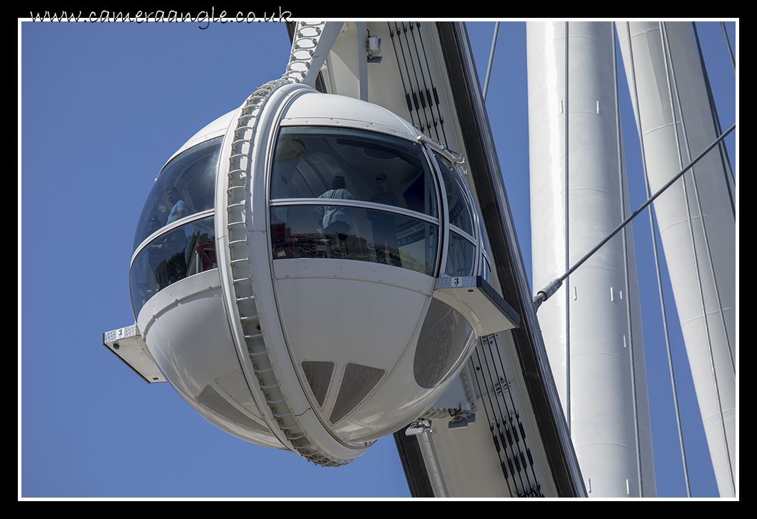 High Roller Big Wheel Pod
