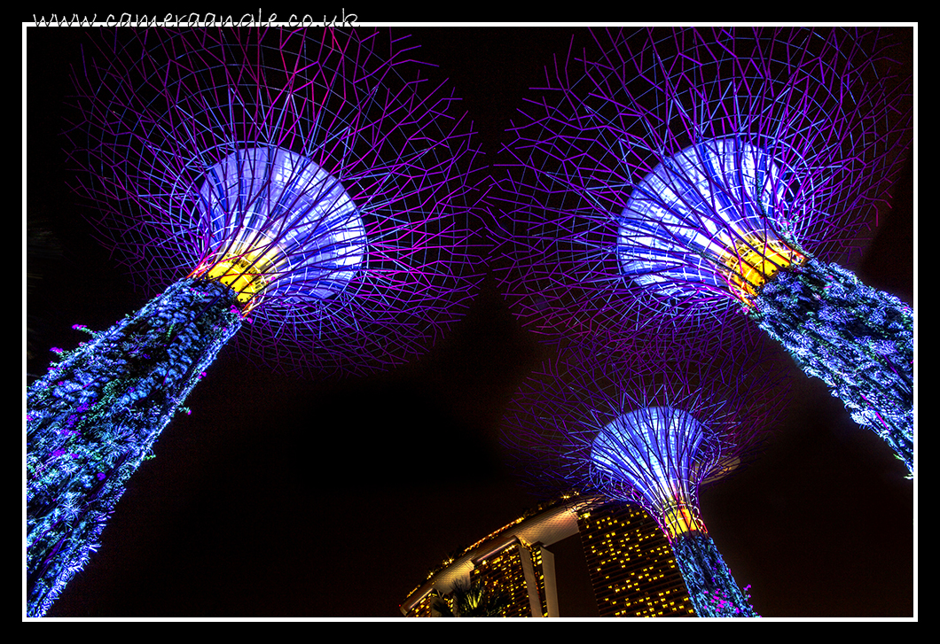 Electric Trees
Keywords: Marina Bay Singapore Electric Trees
