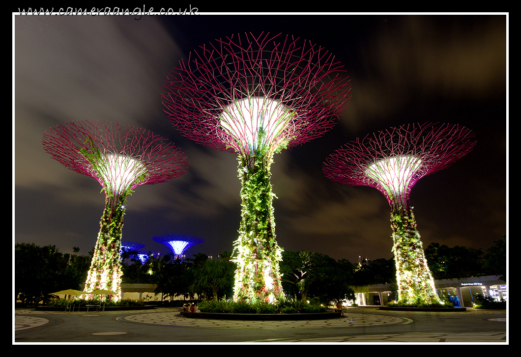 Electric Trees
Keywords: Marina Bay Singapore Electric Trees