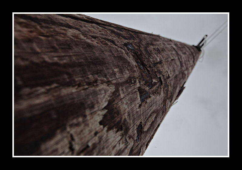 Telegraph Pole
Telegraph Pole
Keywords: Telegraph Pole