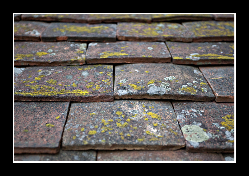 Tiled Roof
Roof Tiles
Keywords: Roof Tiles