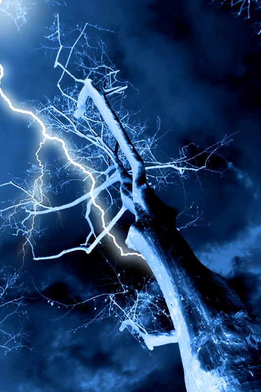 Spooky tree and lightning
Spooky tree and lightning
Keywords: Spooky tree lightning