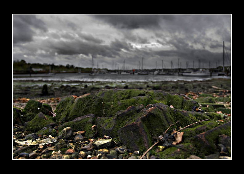 Swanwick shore
Swanwick shore
Keywords: Swanwick shore