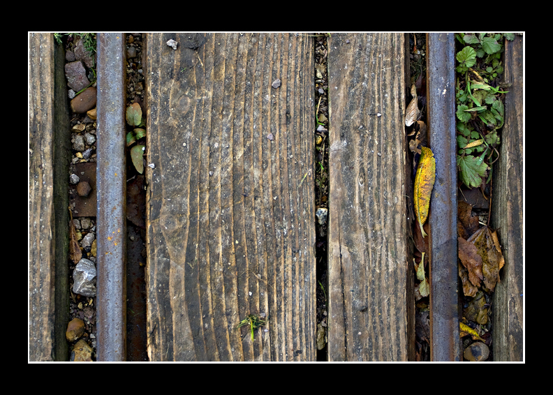 Tracks
of the train variety
Keywords: train tracks