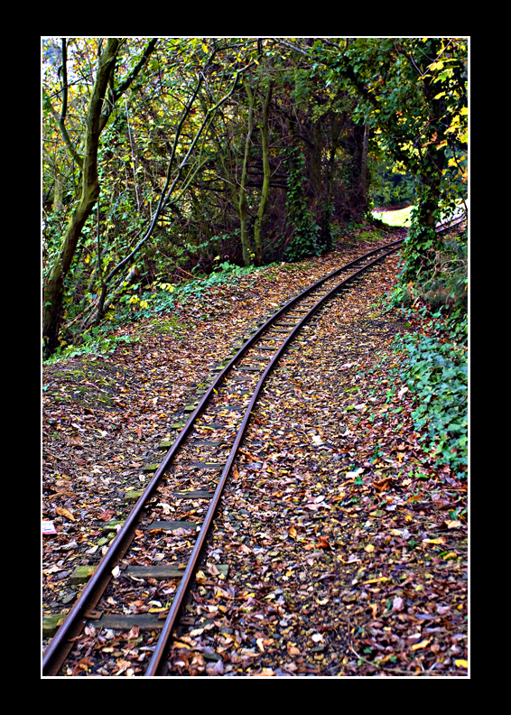 Woodland train track
Keywords: wood train track