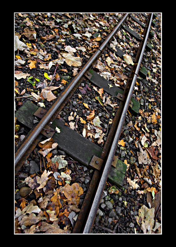 Train Tracks
Choo Choo
Keywords: train tracks