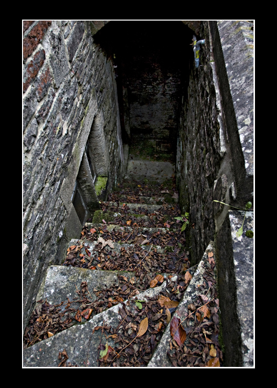 Going down ?
Keywords: Old stairs