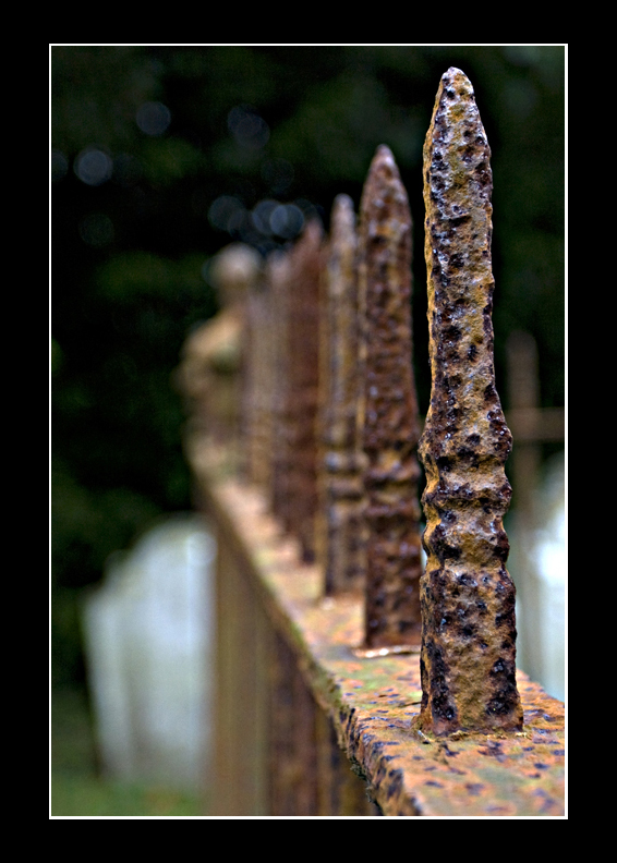 Rusty Railings
Keywords: rusty railings
