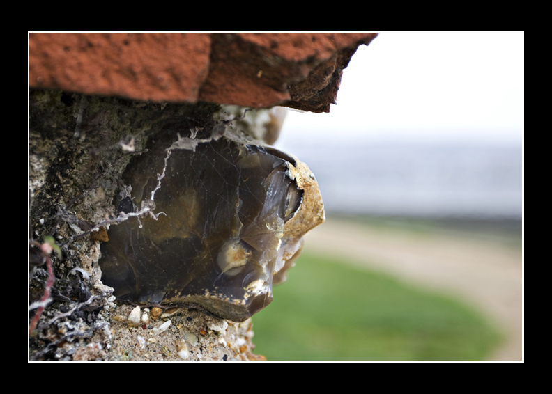 Eroding wall
Portchester castle
Keywords: Portchester castle eroding wall