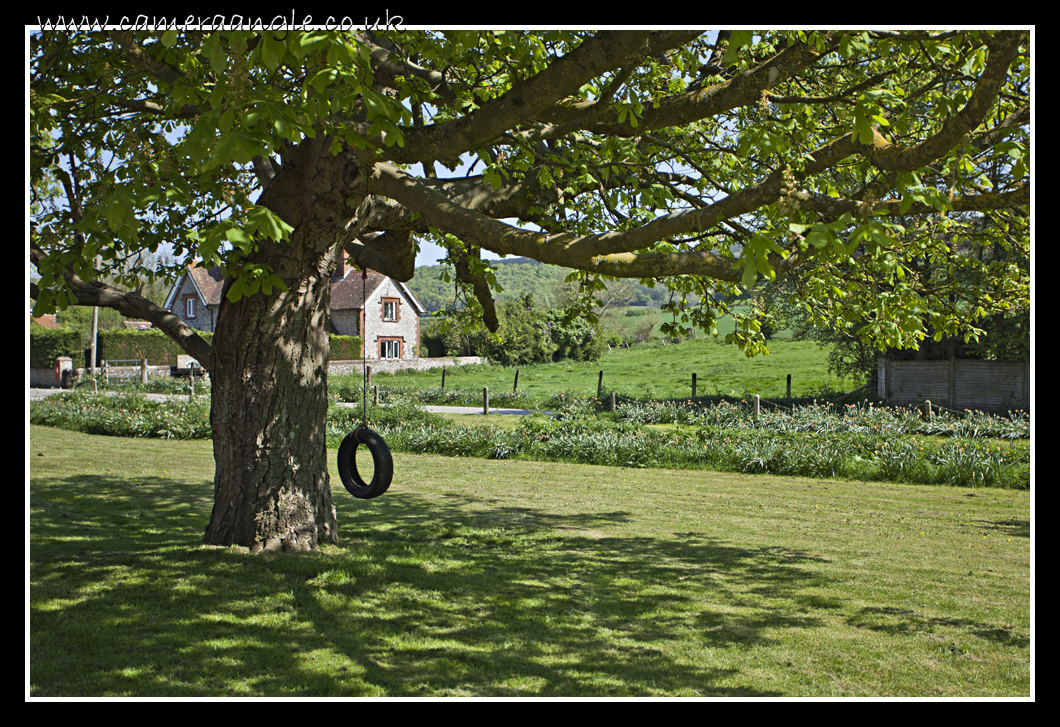 Tyred
Wood and Rubber, such fun
Keywords: Tyre Swing Tree