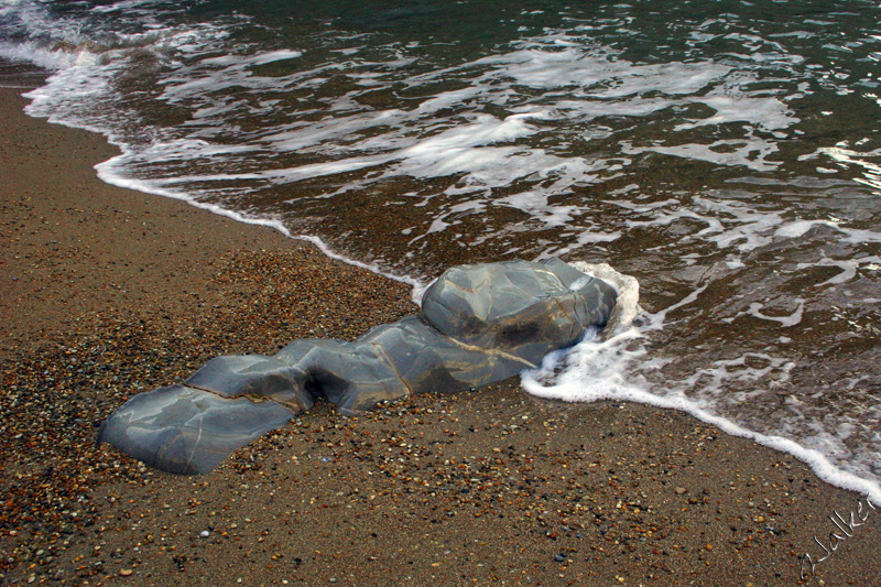 Rock
The tide by Durdle Door flows gently over a buried rock
Keywords: Durdle Door tide rock