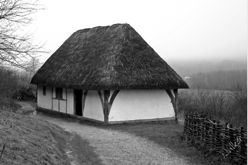 This old House
A very old house at Weald and Downland. This house was a revoloution in as much as it had separate sleeping and living areas. Its around 16th C.
Keywords: Old House Weald Downland