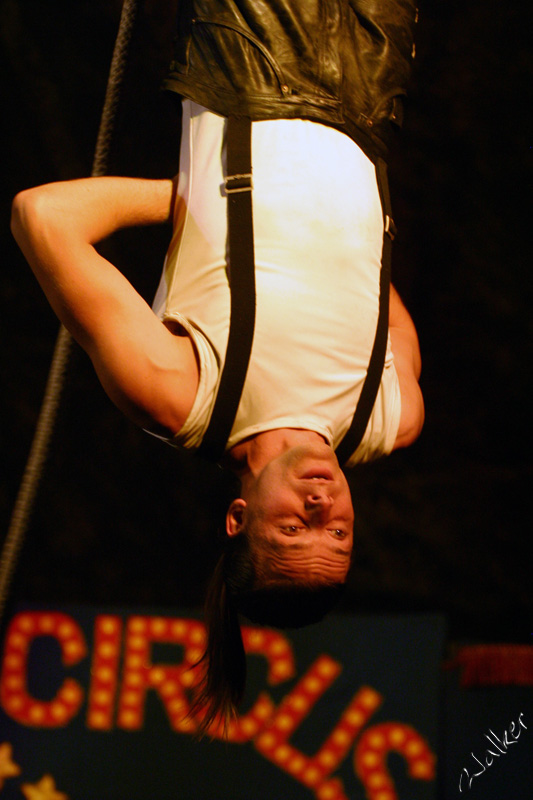 Bat Man
A circus acrobat performs tricks on a rope in the roof of the big top.
Keywords: Circus Performer Rope Acrobat