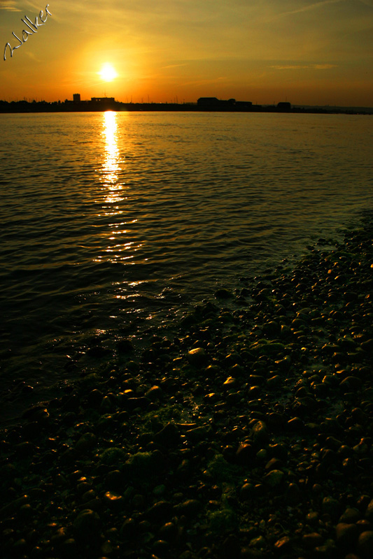 Eastney Sunset
Eastney view from Hayling
Keywords: Eastney Hayling Sunset