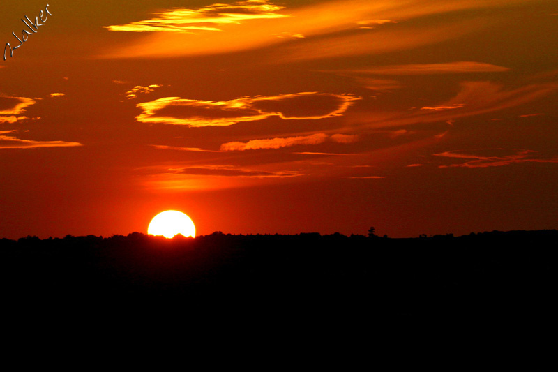 Red Sunset
A view of the sun setting over Portsdown hill, viewed from Hayling Island
Keywords: Sunet Portsdown hill Hayling Island