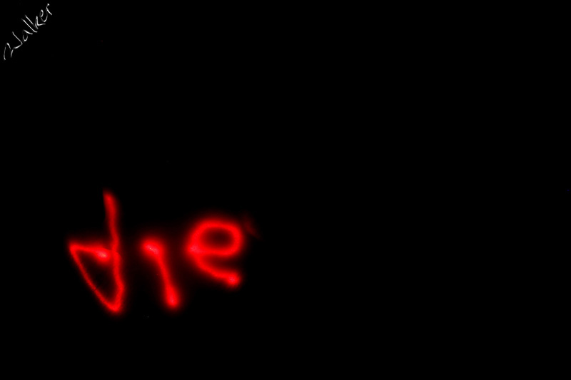Although they wondered why, the message was clear.
Playing with a laser pen in the dark
Keywords: die
