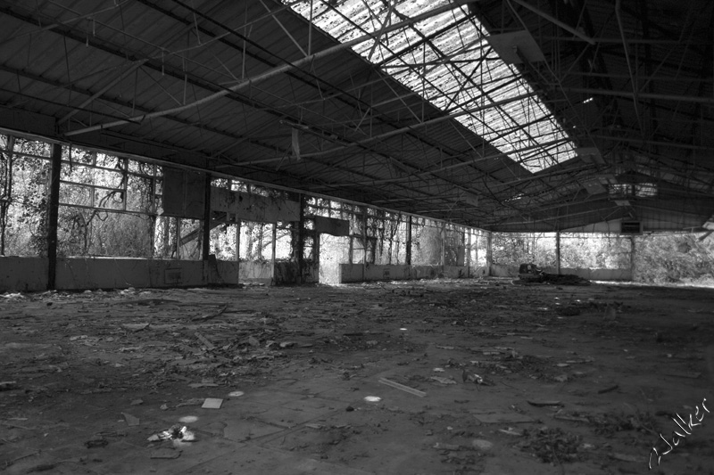 Hi de Hi
The main hall, now rotting and ready to collapse
Keywords: Woodside Isle of Wight
