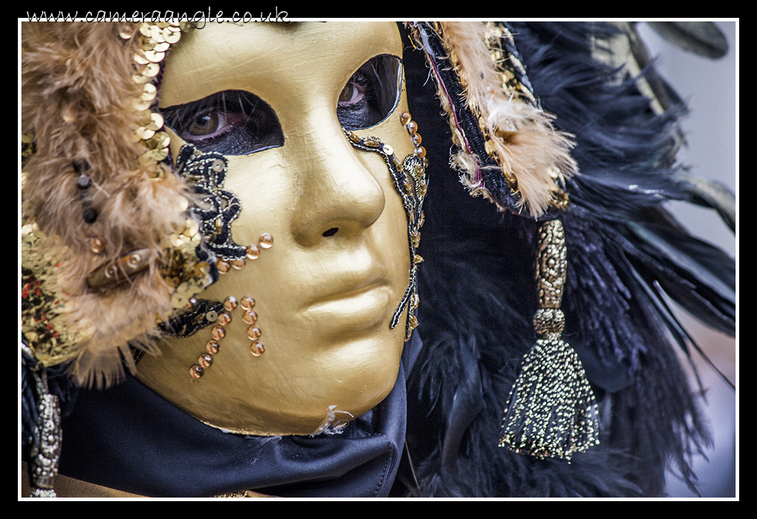 Venice Carnivale

