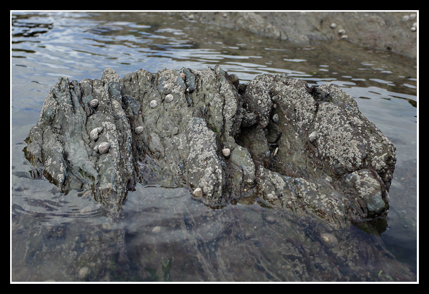 Combe Martin Rock
A Rock on Combe Martin beach.
Keywords: Combe Martin Rock