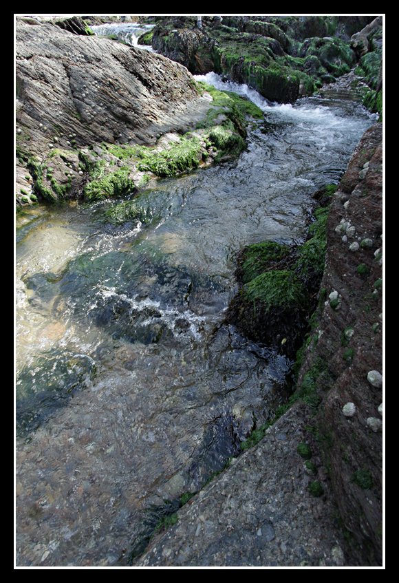 Stream
Water flows from the Combe Martin hills in to the sea
Keywords: water river stream
