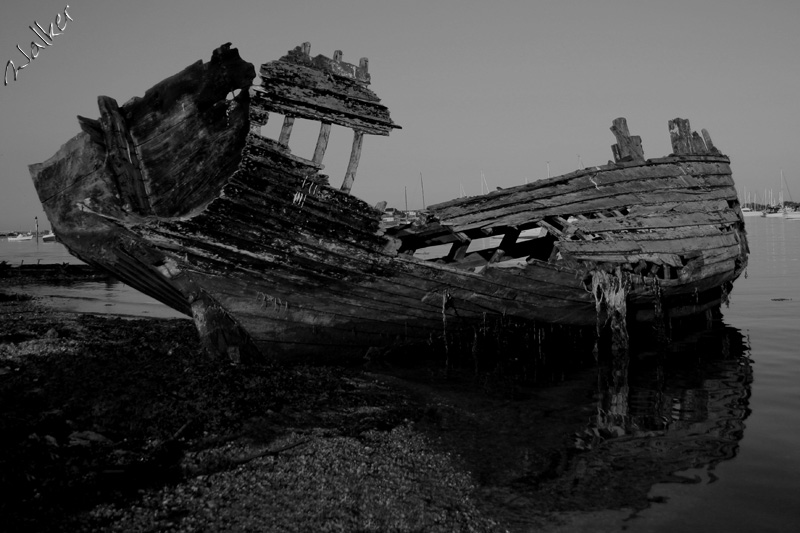 Shipwreck!
Same photo as before, only black and white. Aaarggh, shiver me timebers.
Keywords: Shipwreck